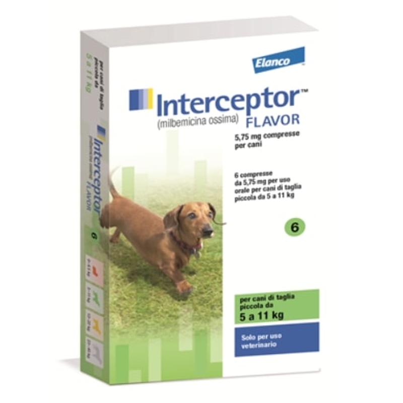INTERCEPTOR FLAVOR  5 - 11 KG VERDE X 6 CP