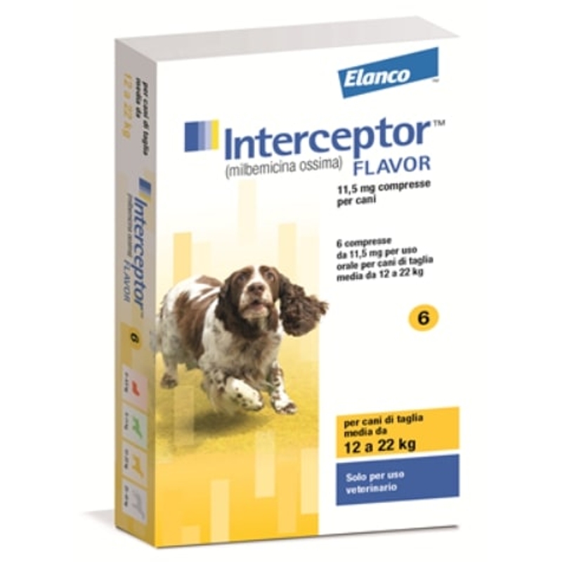 INTERCEPTOR FLAVOR 11 - 22 KG GIALLO X 6 CP
