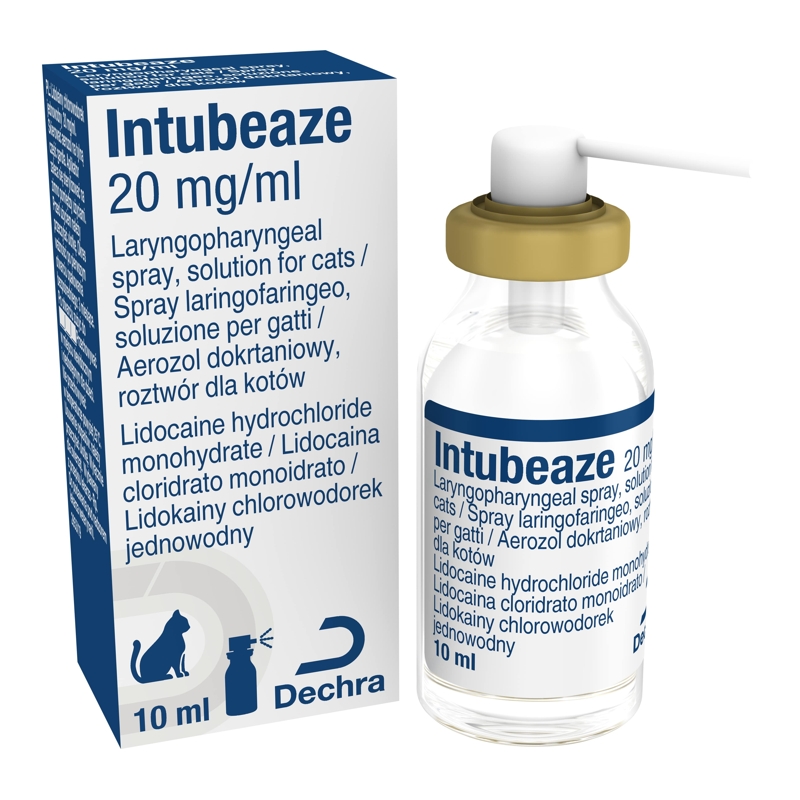 INTUBEAZE SPRAY 10 ML