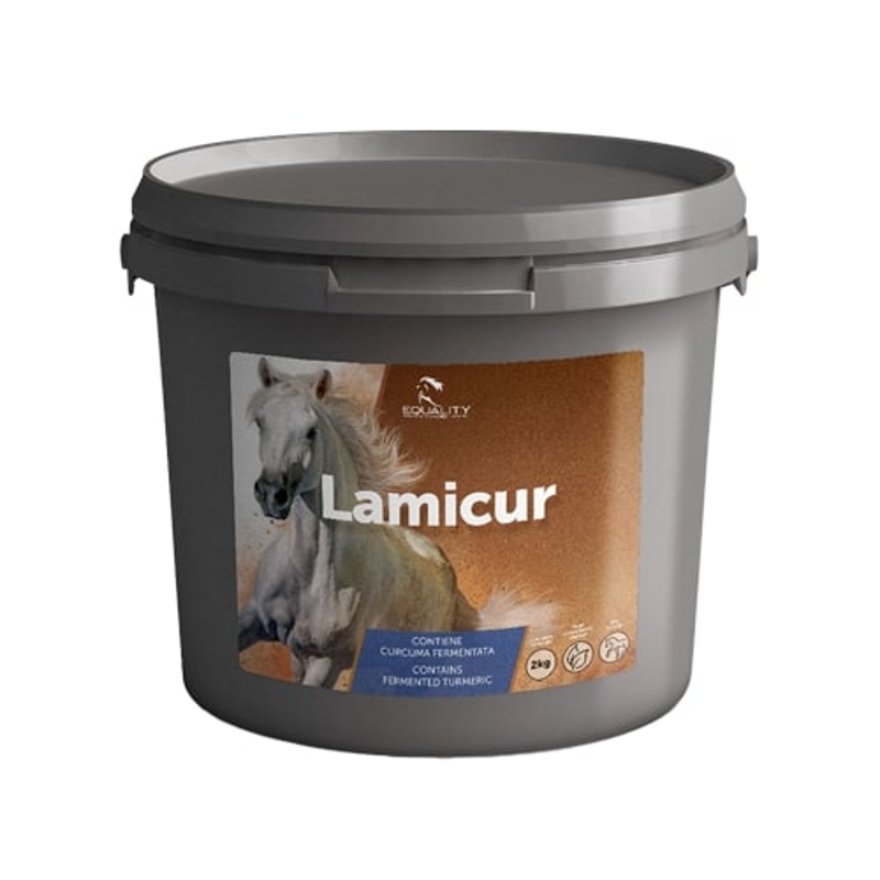LAMICUR 2 KG CAVALLO