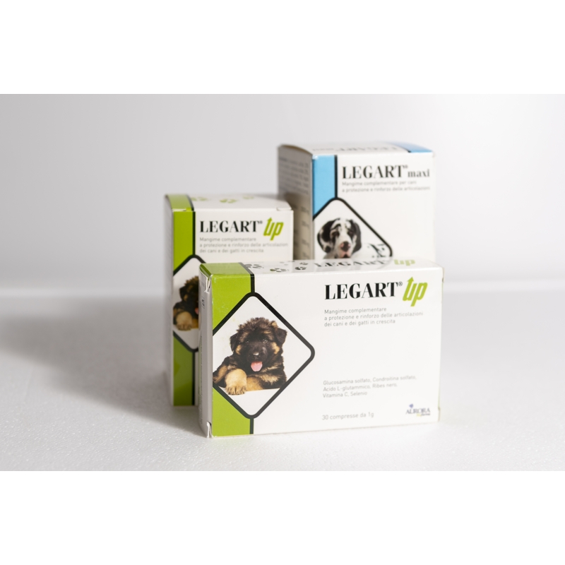 LEGART UP 60 CPR 1GR