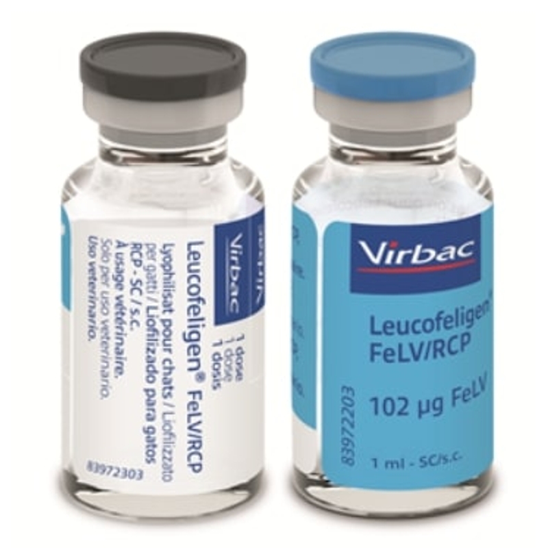 LEUCOFELIGEN FELV/RCP  10 dosi