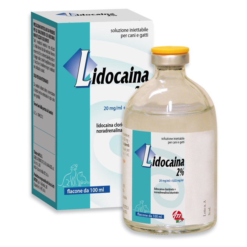 LIDOCAINA 2% 100 ML.   C/ADREN.(ATI)  ()