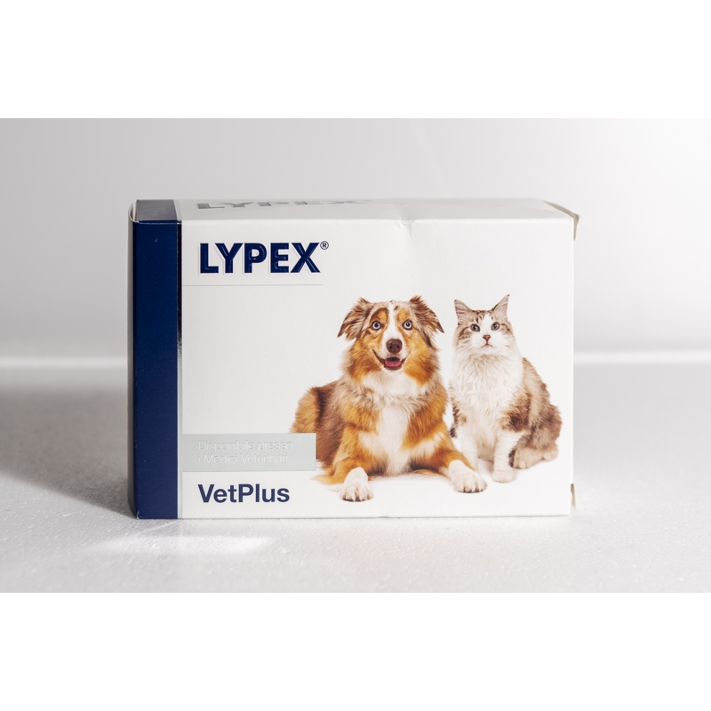 LYPEX 60 CAPSULE
