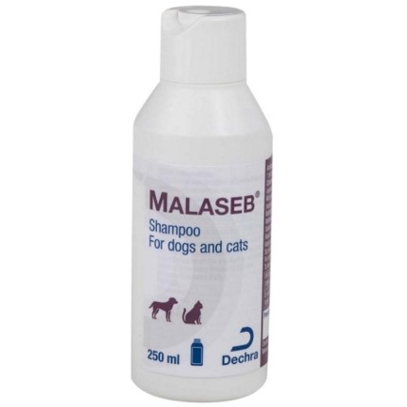 MALASEB SHAMPOO 250 ML