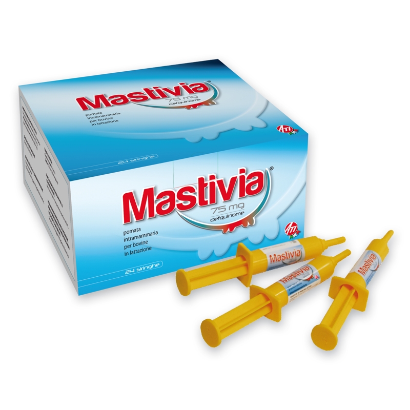 MASTIVIA 24 SIR.