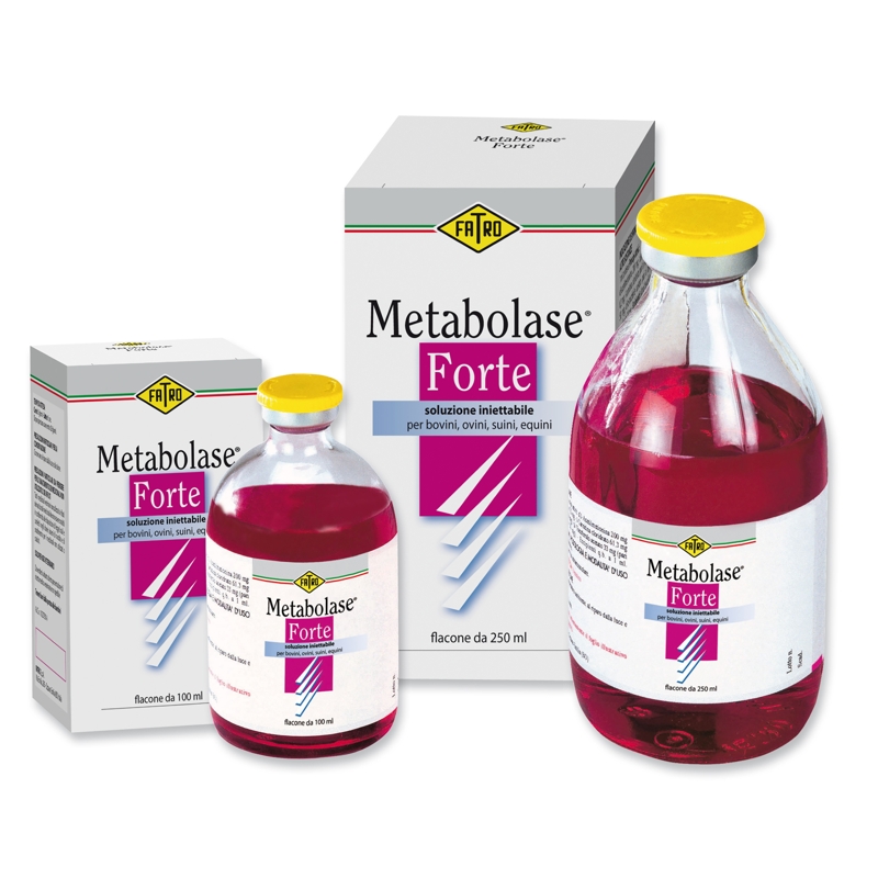 METABOLASE FORTE 250 ML