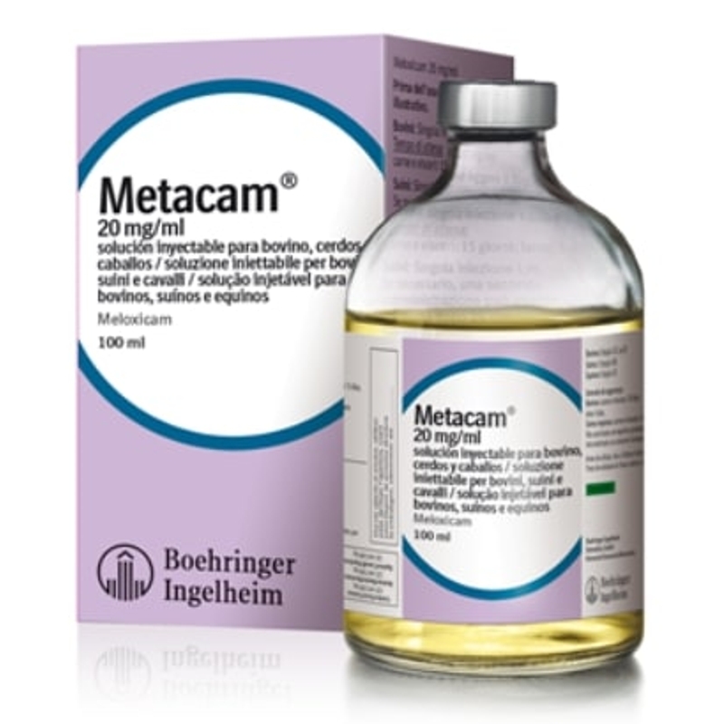 METACAM INIETT.     2 %  100 ML            G.A.