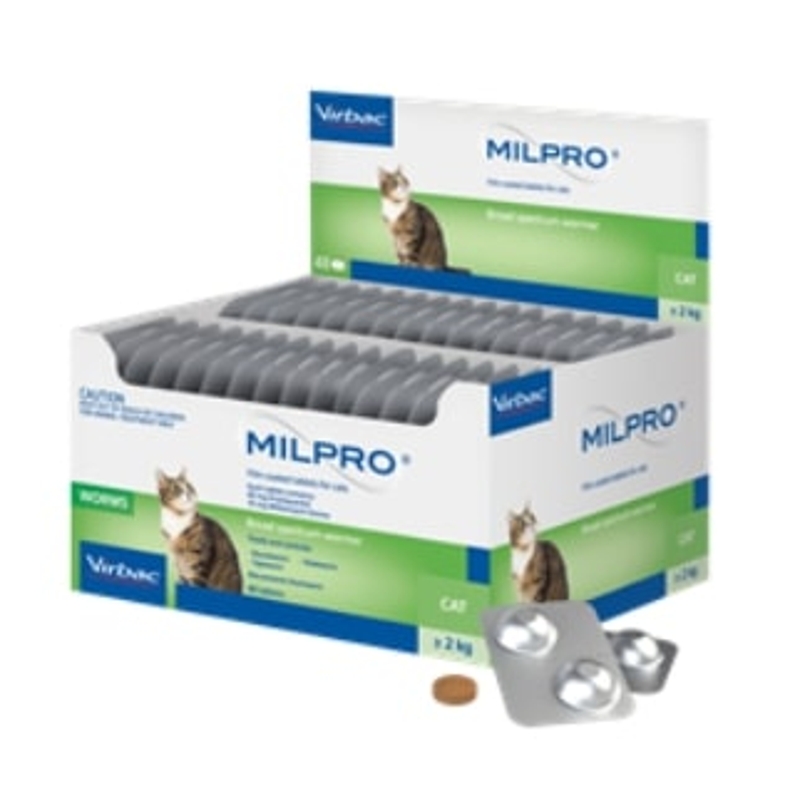 MILPROVET GATTI     24 BLISTER  X 2 CPR 