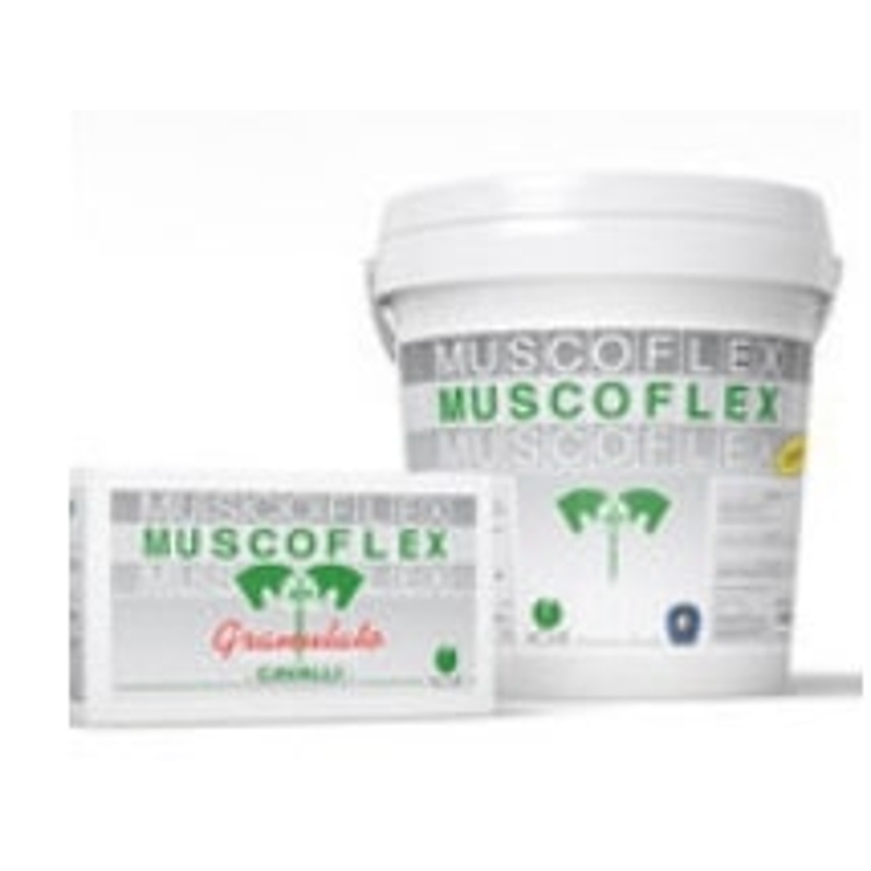 MUSCOFLEX POLVERE  5 KG