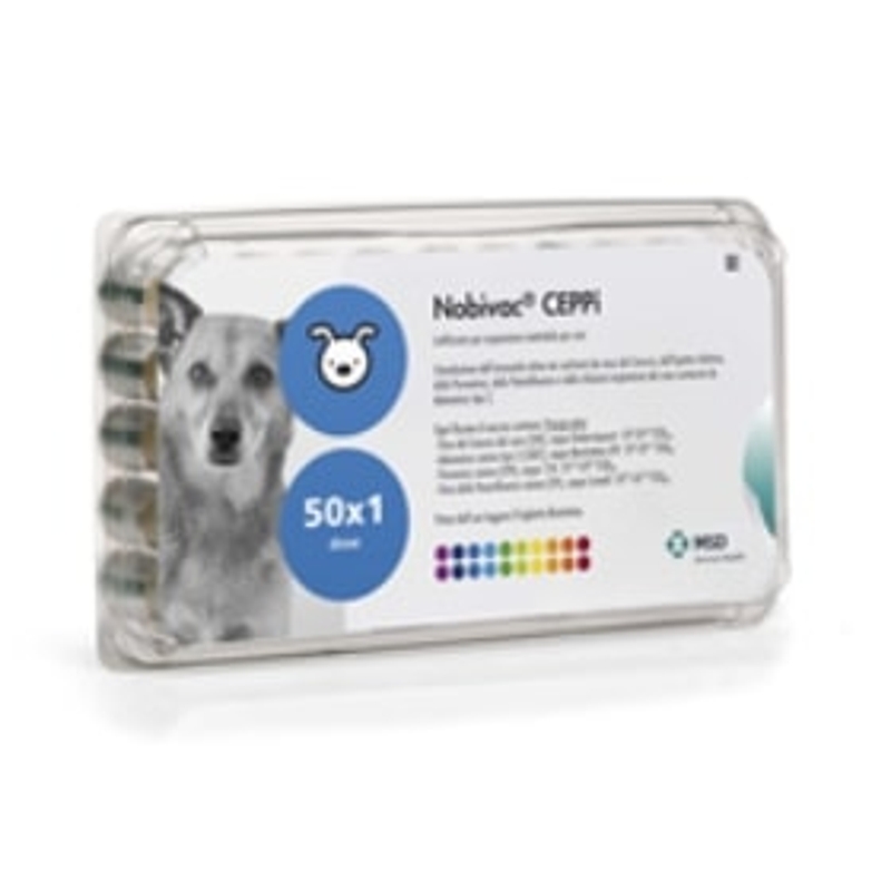 NOBIVAC CEPPI X 50 DOSI
