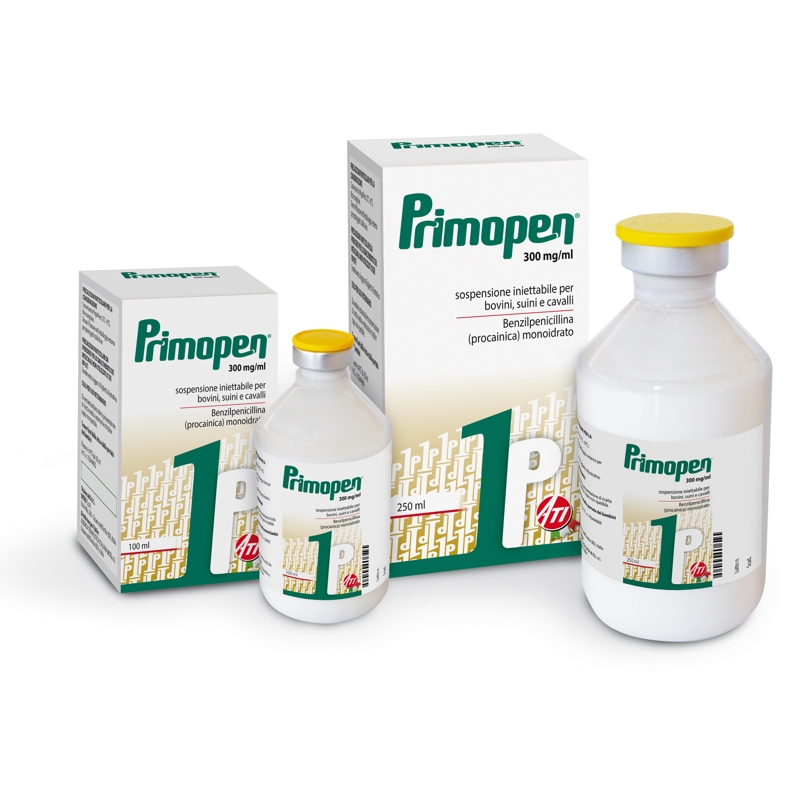 PRIMOPEN 300 MG/ML  100 ML