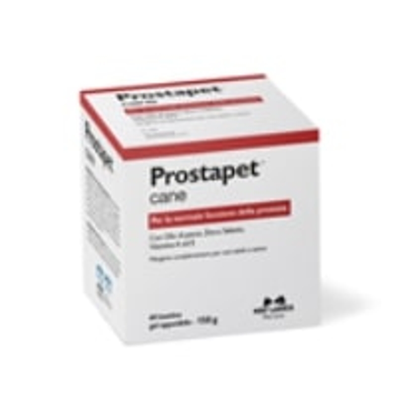 PROSTAPET CANE 60 BST 