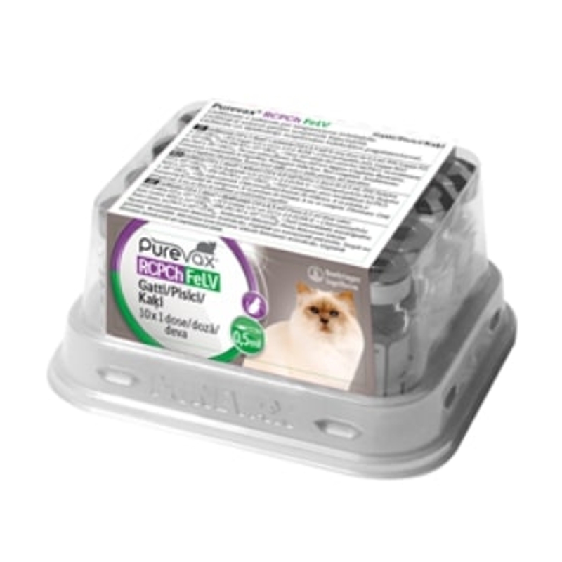 PUREVAX RCP/CH/FELV.  0,5 ML    10 DOSI