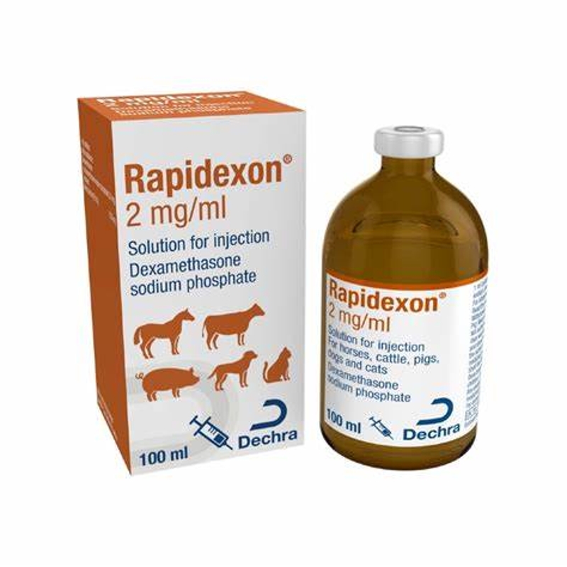 RAPIDEXON 100 ML