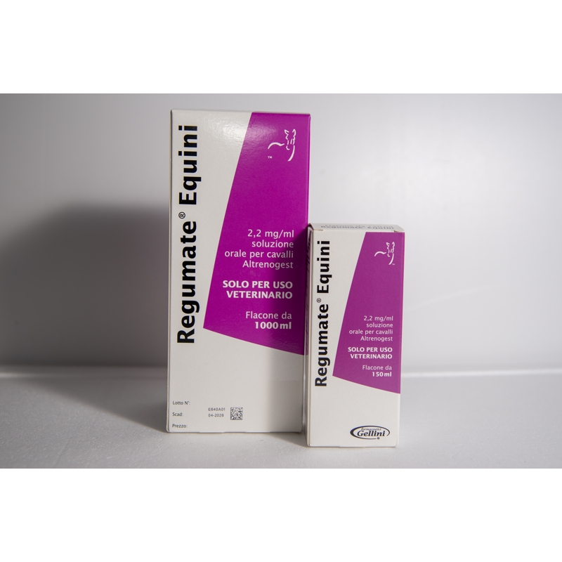 REGUMATE EQUINI 1000 ML.