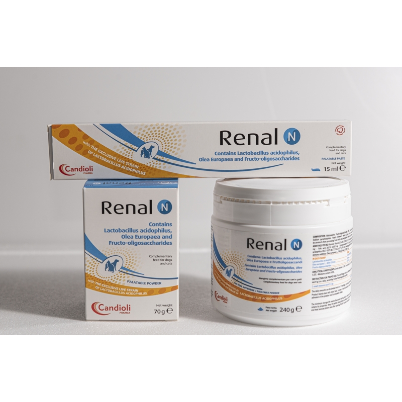 RENAL N PASTA GATTI 15 ML 