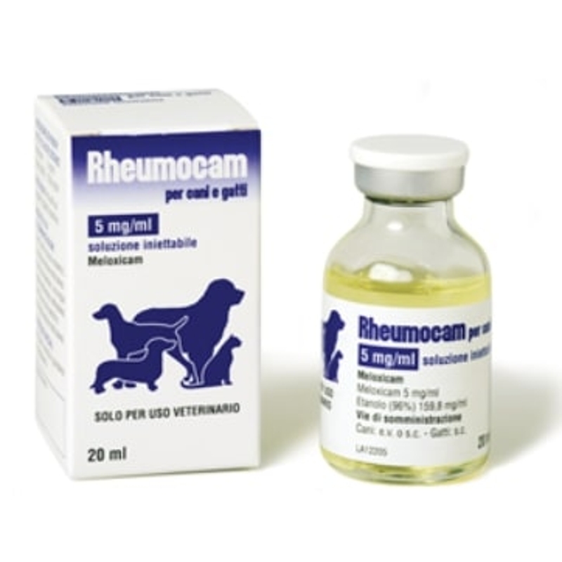 RHEUMOCAM INIETTABILE FL 20 ML 5 MG /ML