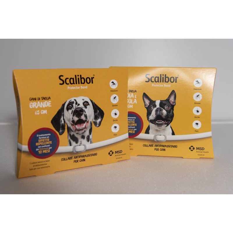 SCALIBOR TAGLIA GRANDE. 65 CM.