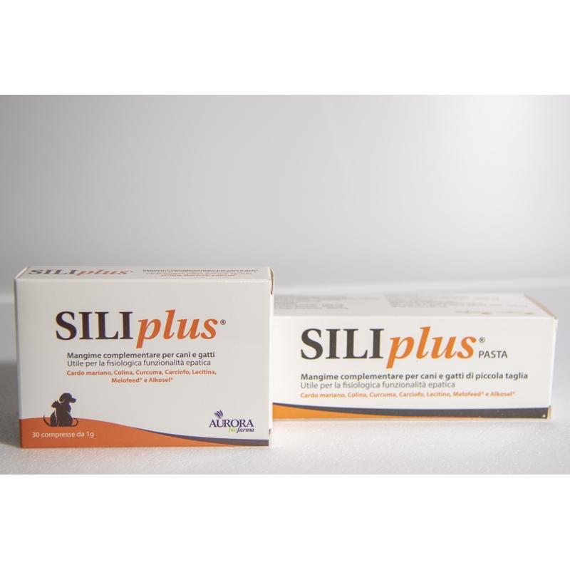 SILIPLUS PASTA  30 G