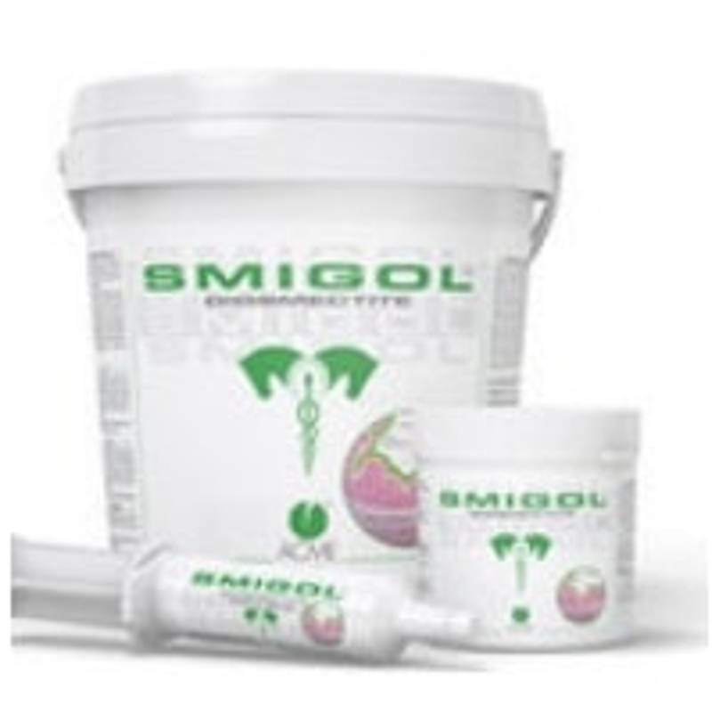 SMIGOL PASTA I SIR.100 G.