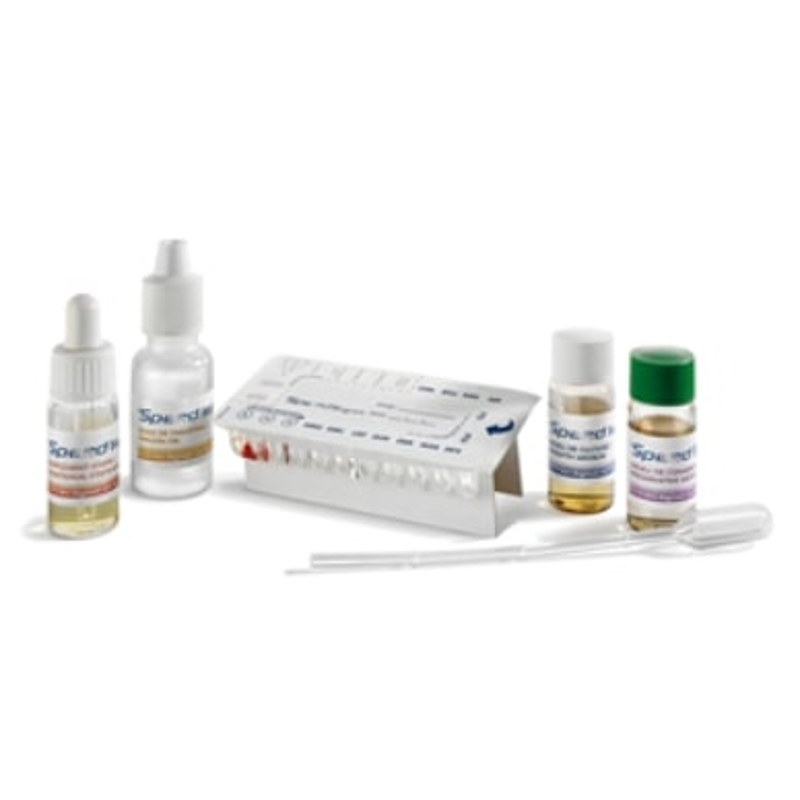 SPEED BIOGRAM                      5 TEST