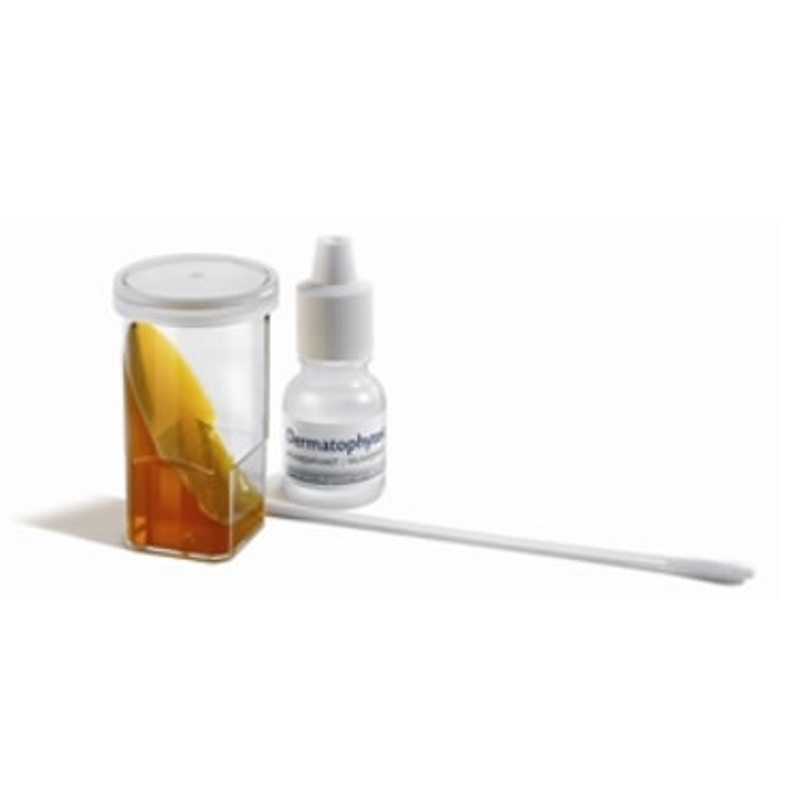 DERMATOPHY TEST                 6 TEST 