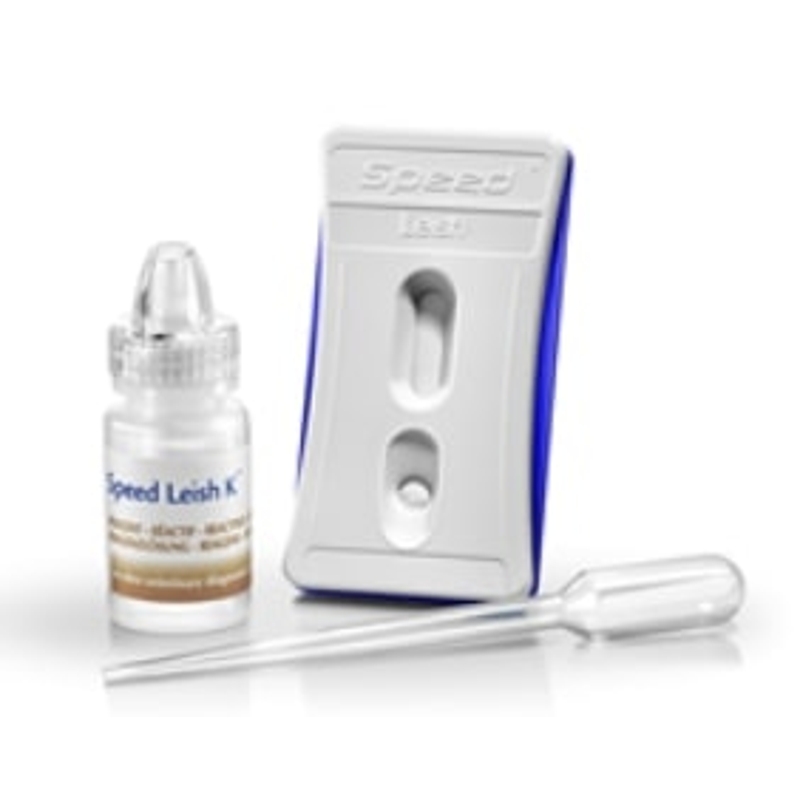 SPEED LEISH K                      6 TEST        