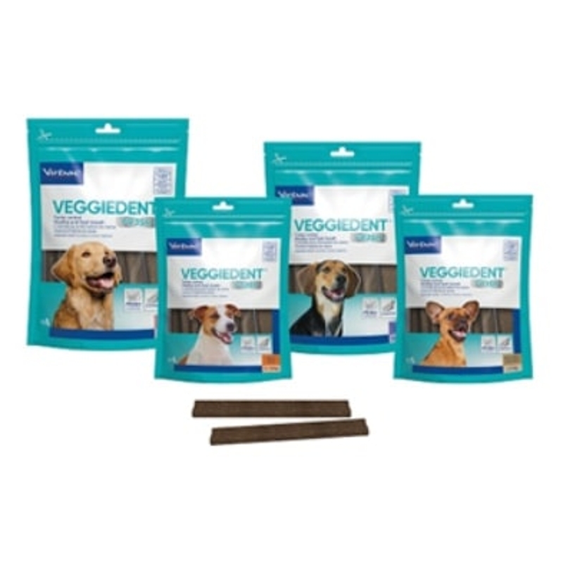 VEGGIEDENT FRESH  5 - 10 KG