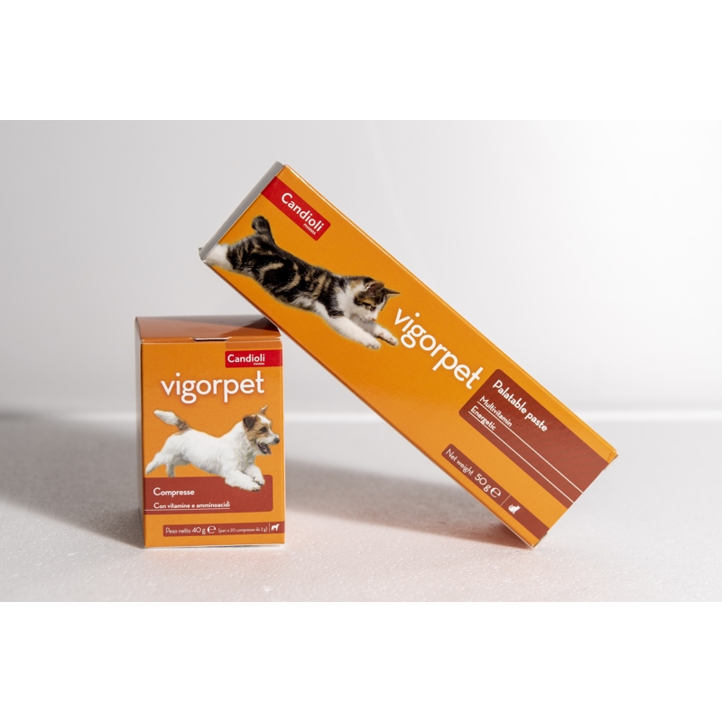 VIGORPET CAT PASTA 50 Gr