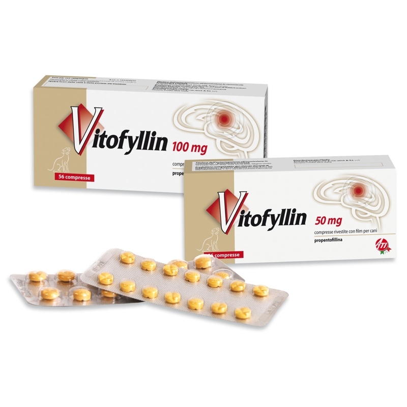 VITOFYLLIN 100 MG.