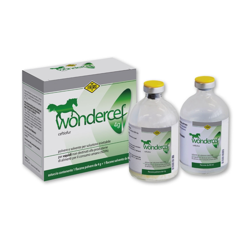 WONDERCEF 4 G 80 ML   EQUINI