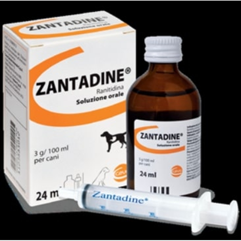 ZANTADINE 24 ML ORALE
